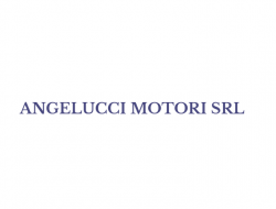 Angelucci motori - Autofficine e centri assistenza - Chieti (Chieti)